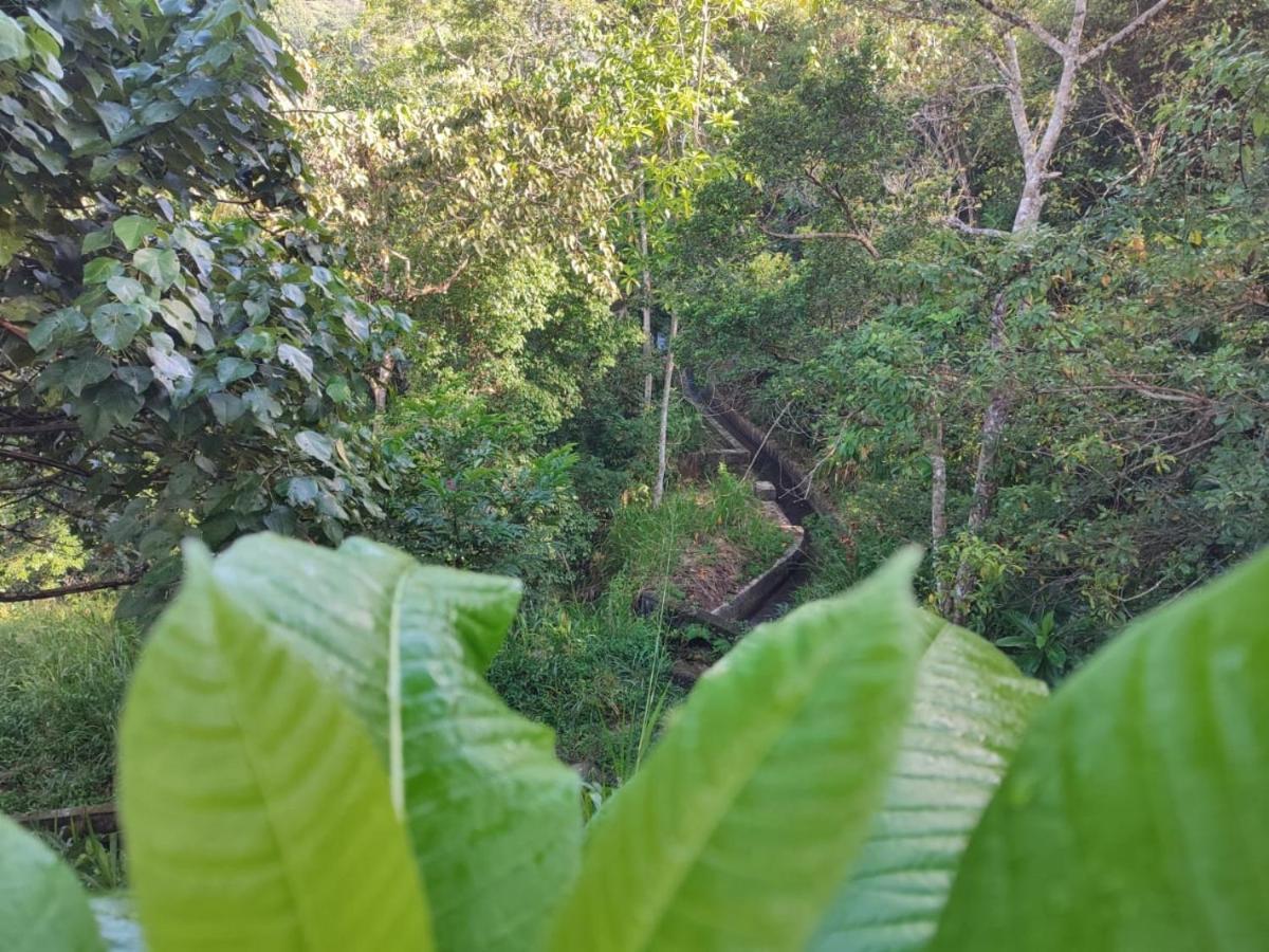 Little Wood Villa And Retreats Doluwa Kandy Luaran gambar