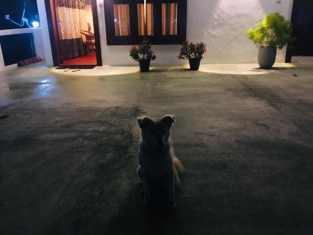 Little Wood Villa And Retreats Doluwa Kandy Luaran gambar