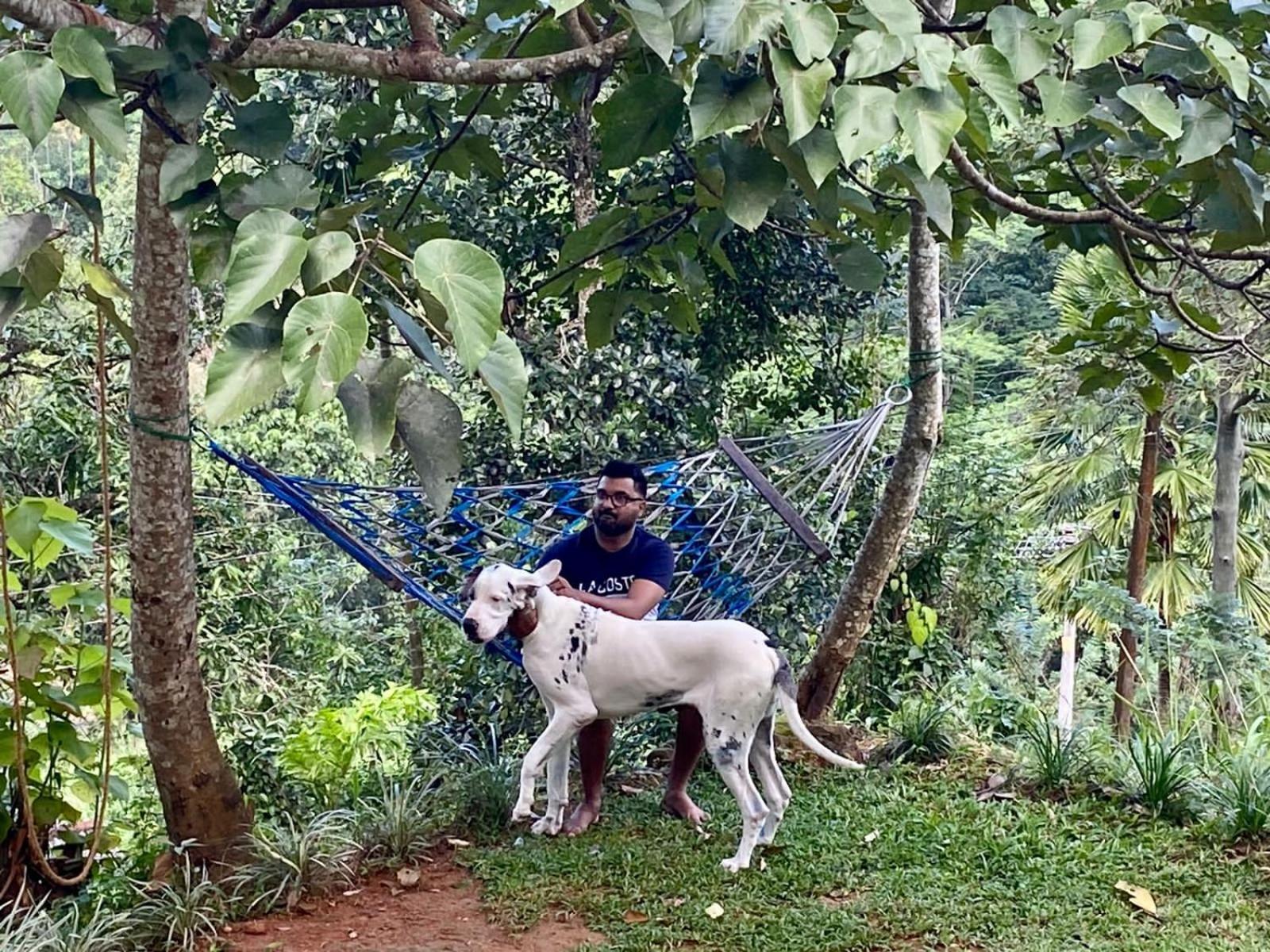Little Wood Villa And Retreats Doluwa Kandy Luaran gambar