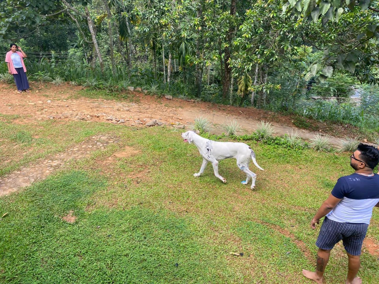 Little Wood Villa And Retreats Doluwa Kandy Luaran gambar